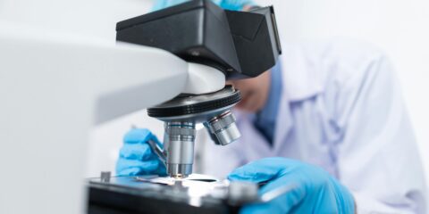 Vérvizsgálatok segítségével sikerült megjósolni a várható élettartamot Vérvizsgálatok segítségével sikerült megjósolni a várható élettartamot