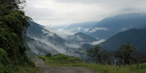 Rejtélyes felfedezés az Amazonas dzsungelében Rejtélyes felfedezés az Amazonas dzsungelében