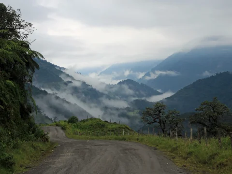 Rejtélyes felfedezés az Amazonas dzsungelében