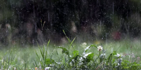 Az eső illata Az eső illata