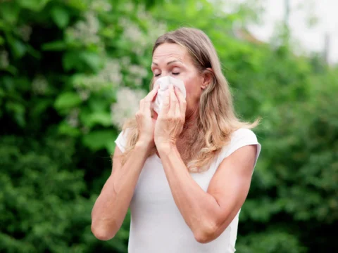 Milyen háziállatokat tarthatnak az allergiások?
