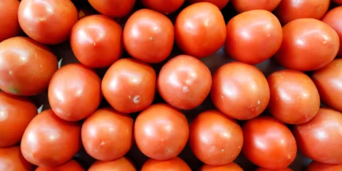 Hasznosnak bizonyult a zsírmáj elleni küzdelemben Hasznosnak bizonyult a zsírmáj elleni küzdelemben
