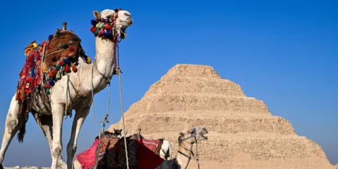 5000 éves sírokat találtak Egyiptomban, amelyek fontos magyarázatot adhatnak 5000 éves sírokat találtak Egyiptomban, amelyek fontos magyarázatot adhatnak