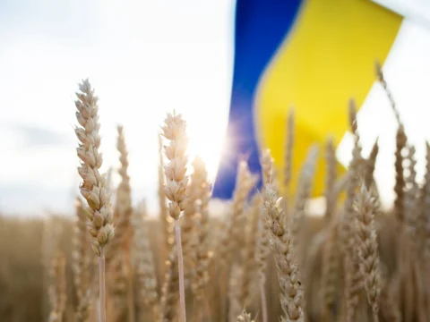 Ukrajna gyakorlatilag megtorpant
