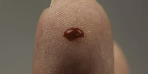 A vámpíroknak igazuk volt A vámpíroknak igazuk volt