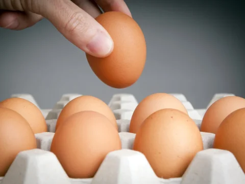 A tojás elkészítésének legszívbarátabb módja