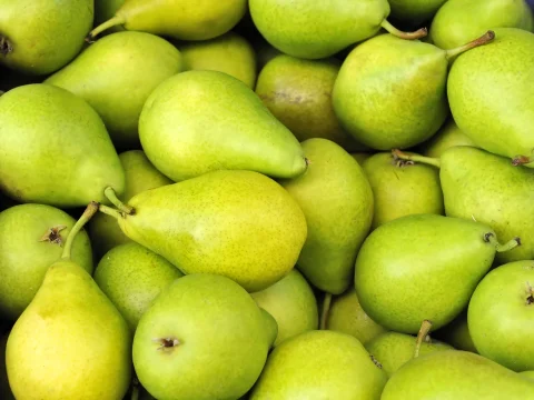 Napi egy körte is sokat tehet az egészségünkért Napi egy körte is sokat tehet az egészségünkért